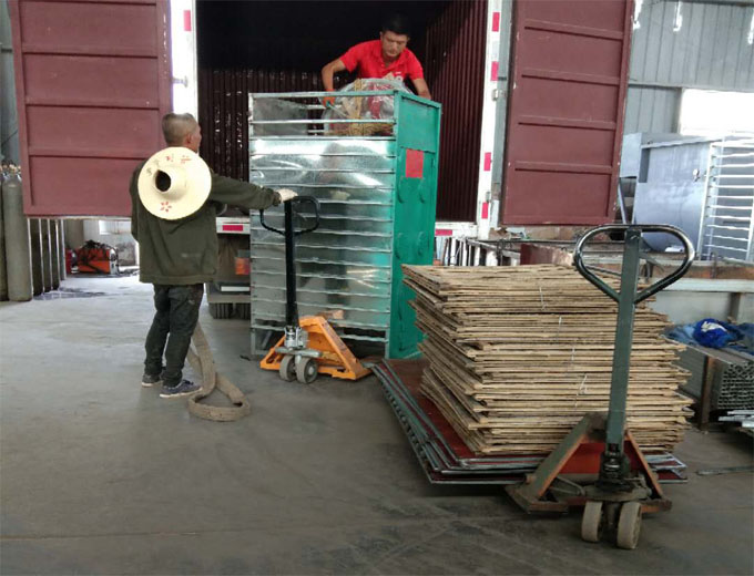 食用菌采收技能你知道多少？逸村機械為您盤點整合