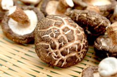 隨縣縣長：香菇外貿(mào)出口存壓力，積極拓展國內(nèi)市場