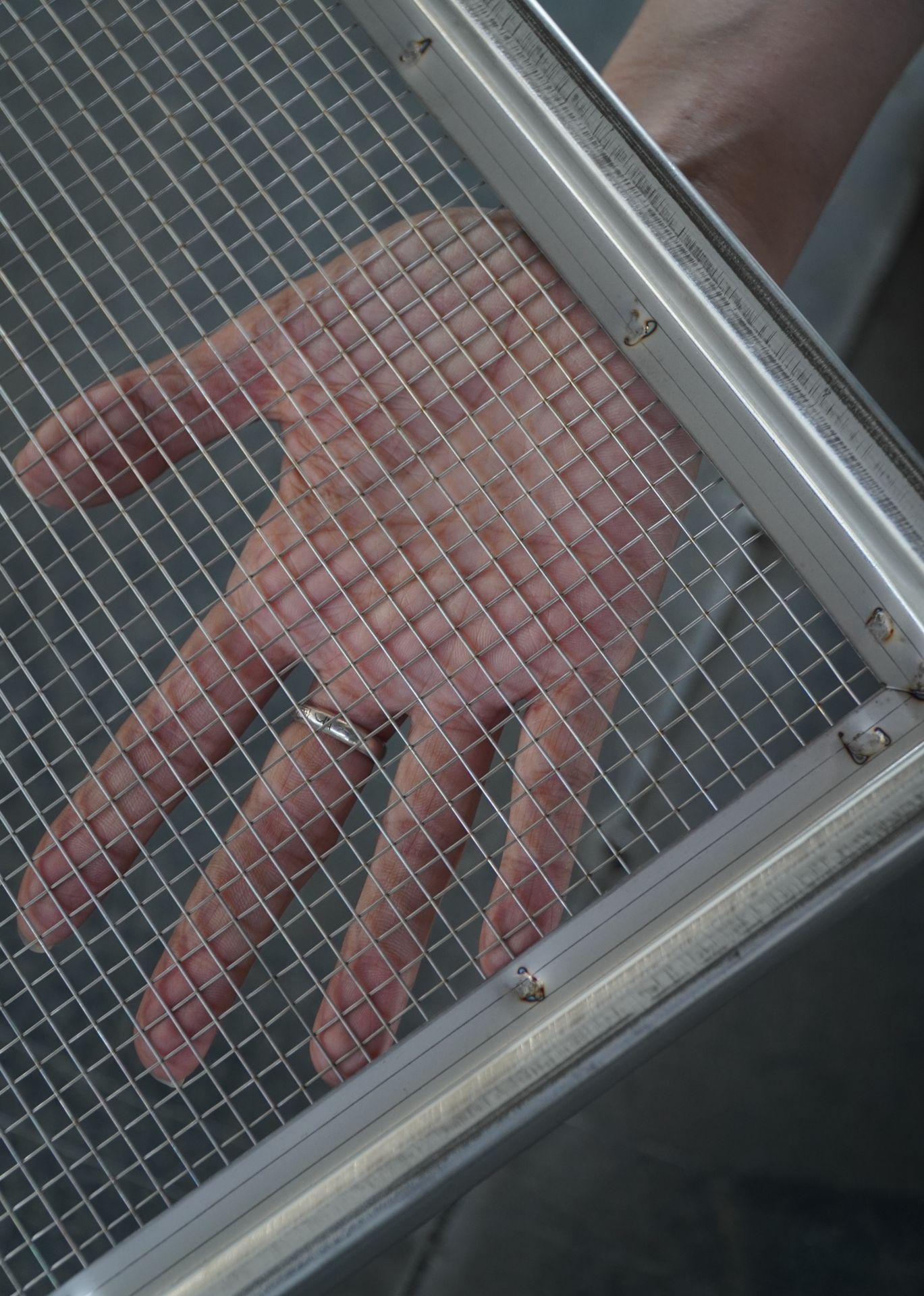 DSC00520.JPG DSC00520.JPG