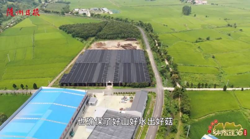 保持露天栽培，確保“好山好水出好菇”